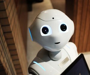 AI Chatbot - Excellent 1 Year